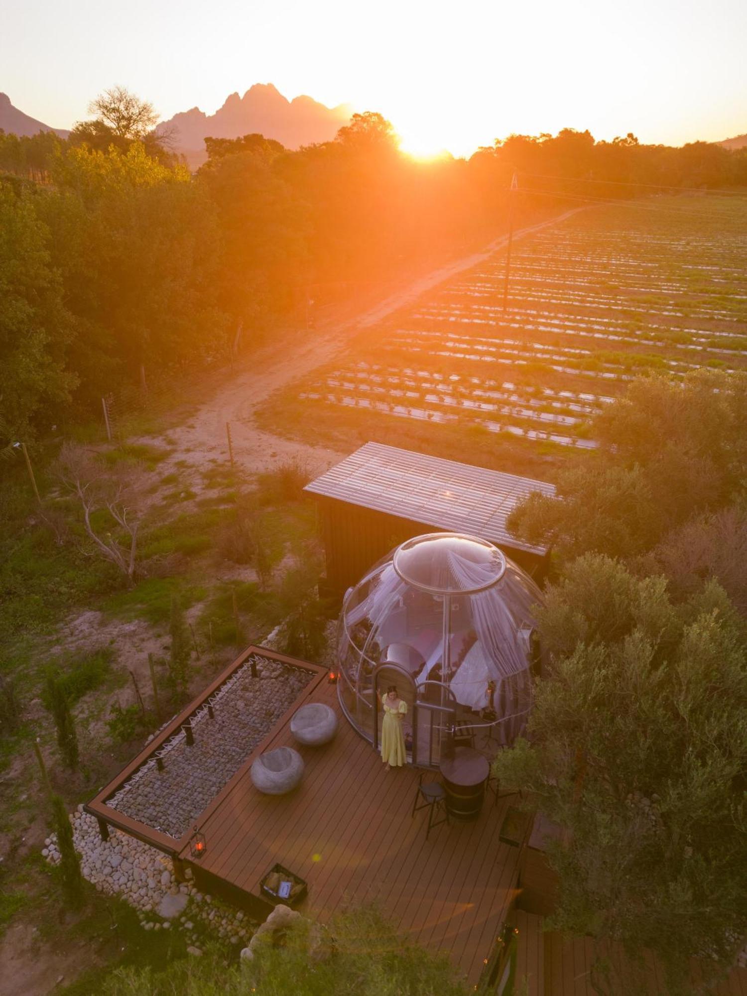 The Vino Dome By Once Upon A Dome Franschhoek Esterno foto